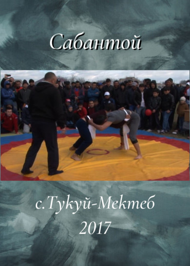 Сабантой. Тукуй-Мектеб, 2017г.